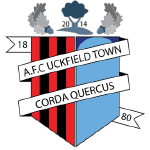 AFC Uckfield Town Reserves