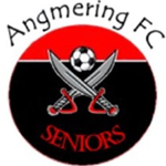 Angmering Seniors