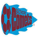 Baltimore Comets