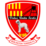 Bedlington Terriers