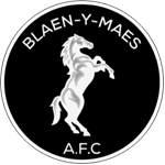 Blaen y Maes AFC