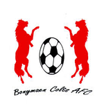 Bonymaen Colts