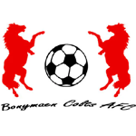 Bonymaen Colts AFC