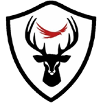 Brecon FC