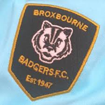 Broxbourne Badgers