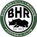 Burgess Hill Rhinos