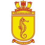CF San Pedro de Atacama