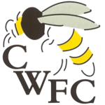 Chalfont Wasps