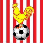 Chickerell United Youth Colts