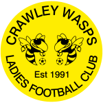 Crawley Wasps