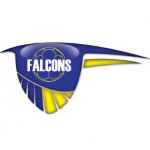 Falcons