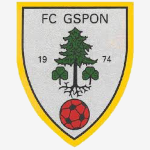 FC Gspon