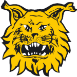 FC Ilves