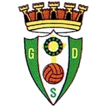 Grupo Desportivo Serzedelo