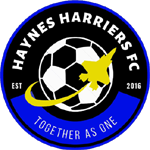 Haynes Harriers FC