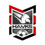 Holland Park Hawks