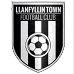 Llanfyllin Town Reserves