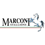 Marconi Stallions