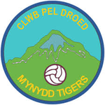 Mynydd Tigers