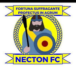 Necton Reserves