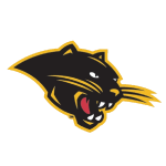 Ohio Dominican Panthers