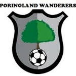 Poringland Wanderers Reserves