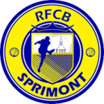 RSCS - Royal Sprimont Comlain Sport