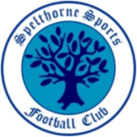 Spelthorne Sports