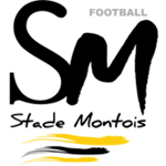 Stade Montois