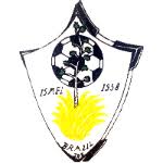 SV Brazil Juniors