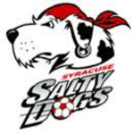 Syracuse Salty Dogs