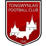 Tongwynlais FC