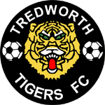 Tredworth Tigers FC