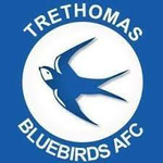 Trethomas Bluebirds