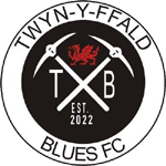 Twyn Y Ffald Blues