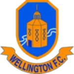 Wellington Colts