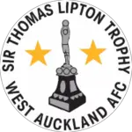 West Auckland Town Reserves