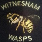 Witnesham Wasps