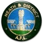 Neath and District League Division 1