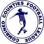 Combined Counties League Division 1