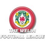 Cardiff and District League Premier Division