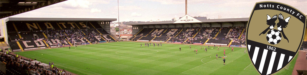 Meadow Lane